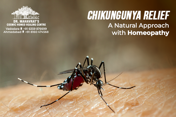 Chikungunya Treatment in Homeopathy